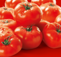 Penny  Fleischtomaten Flandria