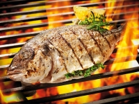 Lidl  GRILLMEISTER Grill-Dorade Proven&ccedil;ale