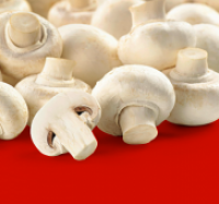 Penny  Wei&szlig;e Champignons