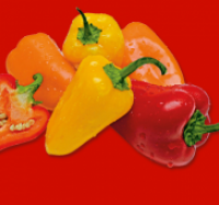 Penny  Paprika sweet