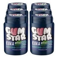 Netto  Gumstar Euka Menthol Kaugummi 50 St&uuml;ck, 6er Pack