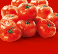 Penny  Fleischtomaten, Flandria