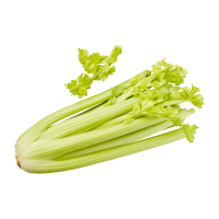 Aldi Nord  Staudensellerie