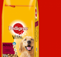 Penny  PEDIGREE Adult