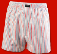 Penny  JOOP Herren-Webboxershorts