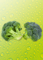 Norma Ernte Krone Fresh Broc&shy;co&shy;li