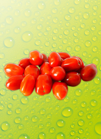 Norma  Dat&shy;tel&shy;cher&shy;ry&shy;to&shy;ma&shy;ten