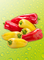 Norma Ernte Krone Fresh Spitz&shy;pa&shy;pri&shy;ka Mix