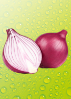 Norma Ernte Krone Fresh Zwie&shy;beln