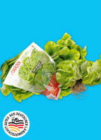 Norma  Baye&shy;ri&shy;scher Kopf&shy;sa&shy;lat mit Wur&shy;zel&shy;bal&shy;len