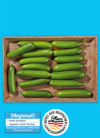 Norma  Baye&shy;ri&shy;sche Mi&shy;ni Gur&shy;ken