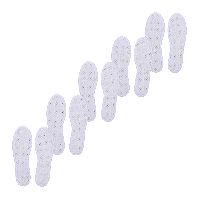 Aldi Nord Up2fashion UP2FASHION Barfu&szlig;-Einlegesohlen