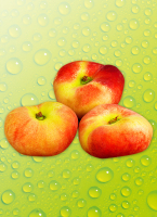 Norma Ernteschatz Platt&shy;pfir&shy;si&shy;che