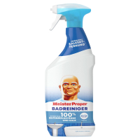 Aldi S&uuml;d  MEISTER PROPER Reinigerspray