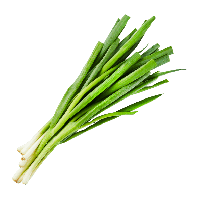 Aldi Nord  Lauchzwiebeln