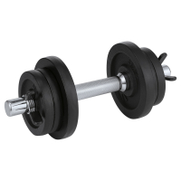 Aldi S&uuml;d  CRANE Hantelset 10 kg