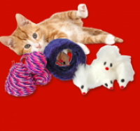 Penny  Spielzeug-Set f&uuml;r Katzen