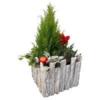 Aldi S&uuml;d  GARDENLINE Grabschmuck