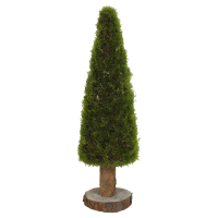 Aldi S&uuml;d  GARDENLINE Moosbaum 40 cm