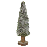 Aldi S&uuml;d  GARDENLINE Moosbaum mit Schnee 40 cm