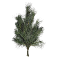 Aldi S&uuml;d  GARDENLINE Tannenhandbunde 550 g, Kiefer