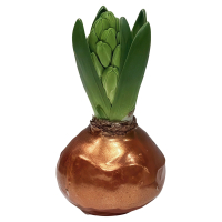 Aldi S&uuml;d  GARDENLINE Hyazinthe gewachst