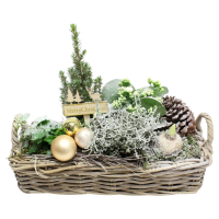 Aldi S&uuml;d  GARDENLINE Weihnachtlich bepflanzter Korb