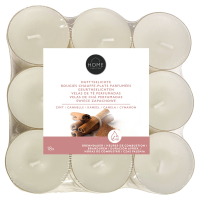 Aldi S&uuml;d  HOME CREATION Duft-Teelichter + Maxilichter