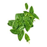 Aldi Nord Bio BIO Spinat