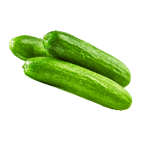 Aldi Nord  Mini-Gurken