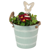 Aldi S&uuml;d  GARDENLINE Zinkeimer mit Kordelhenkel