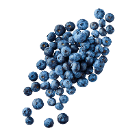 Aldi Nord  Kulturheidelbeeren