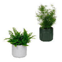 Aldi Nord Gardenline GARDENLINE Gr&uuml;ne Wohn-Oase