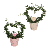 Aldi Nord Gardenline GARDENLINE Efeuherz