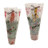 Aldi Nord Gardenline GARDENLINE Guzmanie / Vriesea