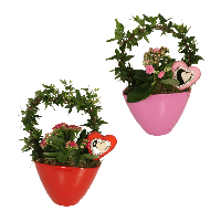 Aldi Nord Gardenline GARDENLINE Efeubogen in Keramik