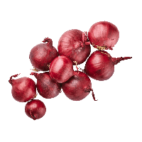 Aldi Nord Bio BIO Zwiebeln rot