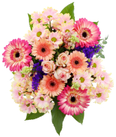 Kaufland  Exklusivstrau&szlig;