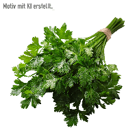 Aldi Nord  Petersilie glatt