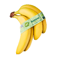 Aldi Nord Bio BIO Bananen, Fairtrade