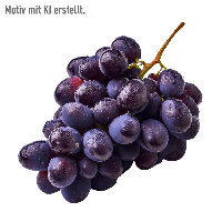 Aldi Nord  Tafeltrauben dunkel