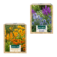 Aldi Nord Gardenline GARDENLINE Stauden f&uuml;r den Sommergarten