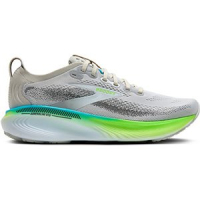 InterSport  Herren Laufschuhe Adrenaline GTS 25