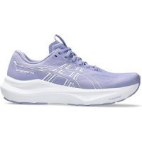 InterSport  Damen Laufschuhe GT-2000 14