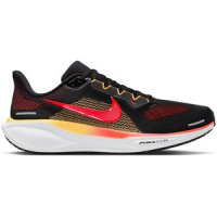 InterSport  Herren Laufschuhe AIR ZOOM PEGASUS 41