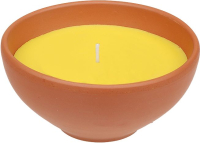 Kaufland  Terra-Schale Citronella