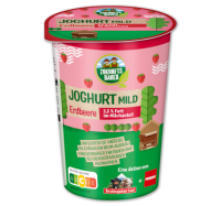 Penny  PENNY ZUKUNFTSBAUER Fruchtjoghurt