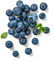Kaufland  Poln./dtsch. Kulturheidelbeeren