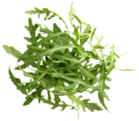 Kaufland  Dtsch. Rucola oder Pfl&uuml;cksalat