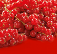 Penny  Johannisbeeren